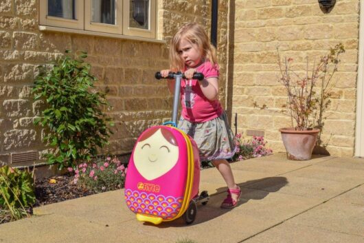 Детский чемодан самокат Zinc Flyte Betty